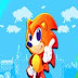 The Sonic Puzzle Game Quiz (Short Sonic Puzzles Quiz) Answers