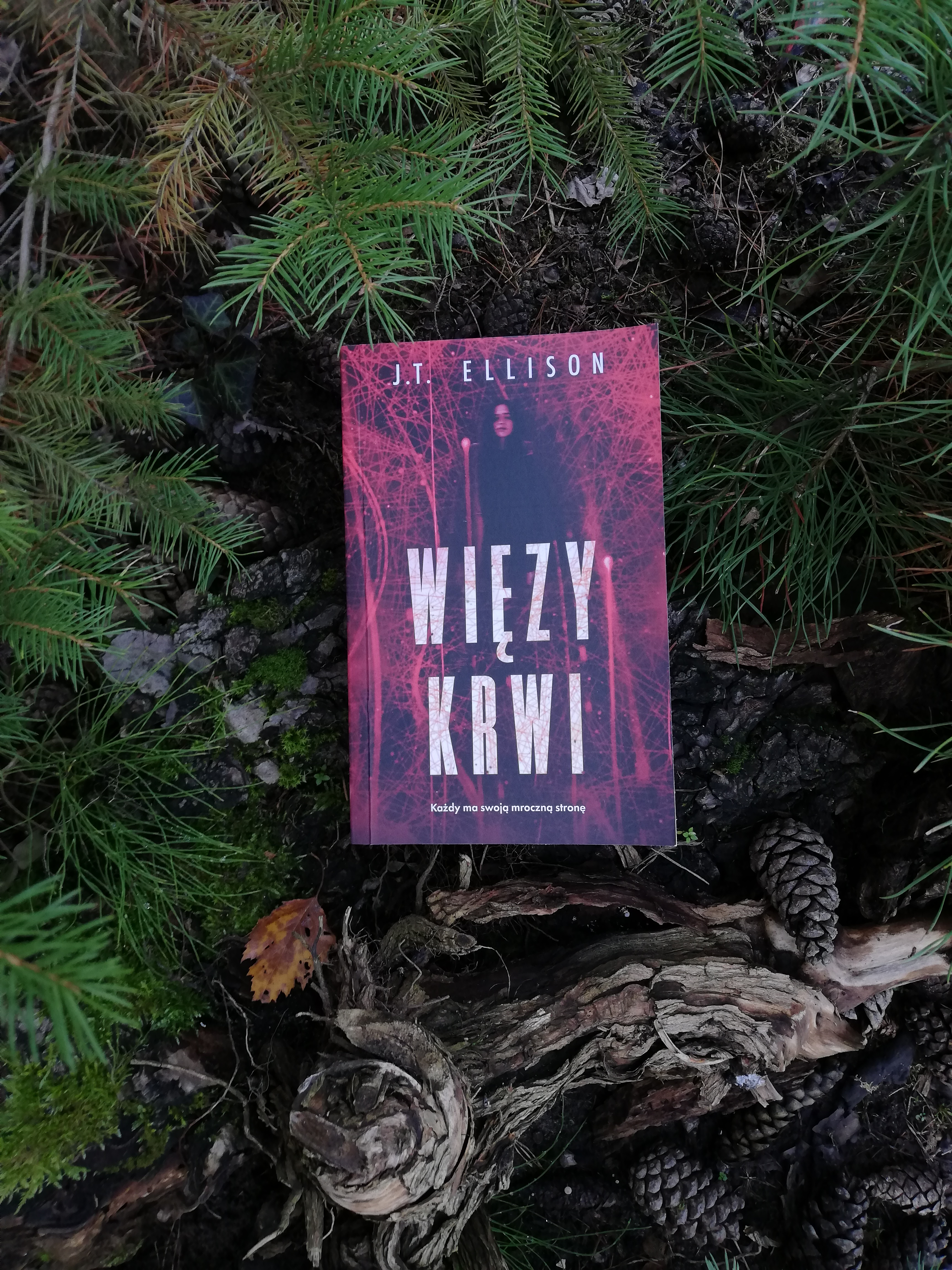 Recenzje książek - Więzy krwi - J.T. Ellison #270