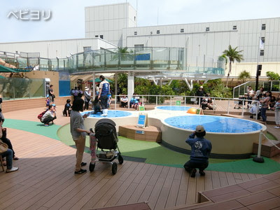 0歳の赤ちゃんの遊び場 お出かけ イベントまとめ ベビヨリ