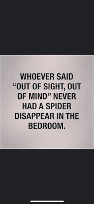 Out of sight.. How true..