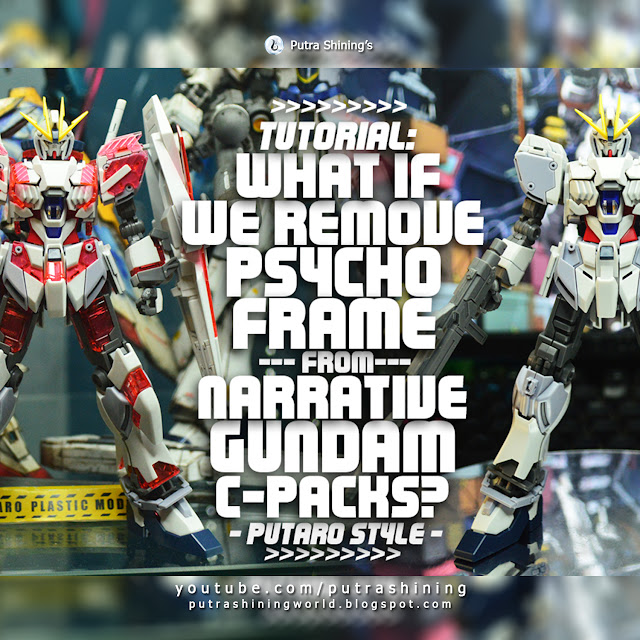 Converting C-Packs to Default HGUC RX-9/C Narrative Gundam | 機動戦士ガンダムＮＴ| by Putra Shining