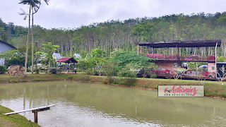 Campsite Review | Denai Kabus Agro Farm and Adventure Resort, Gerik, Perak