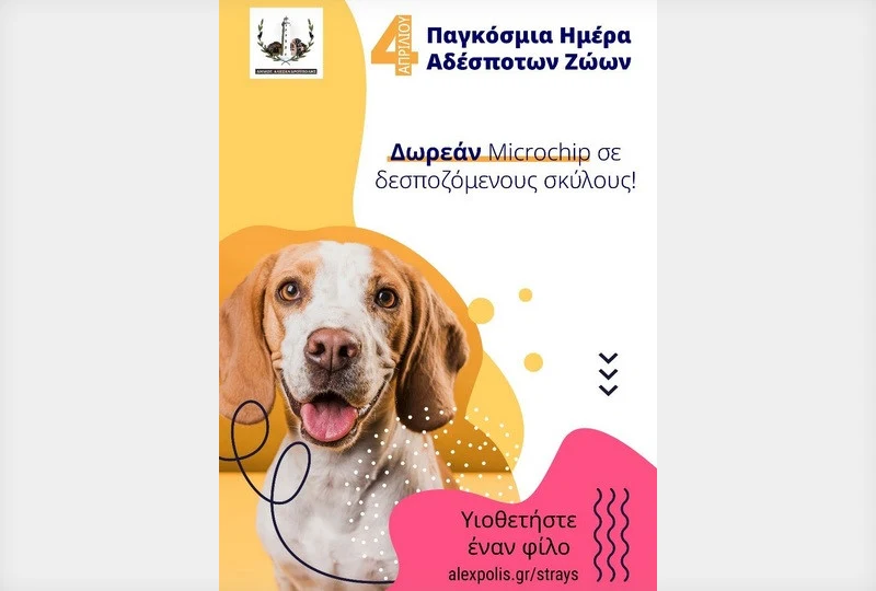 Αλεξανδρούπολη: Δωρεάν τοποθέτηση microchip σε δεσποζόμενους σκύλους με αφορμή την Παγκόσμια Ημέρα Αδεσπότων Ζώων