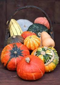 Pic of selected colourful pumpkins and gourds in harvest festival basket