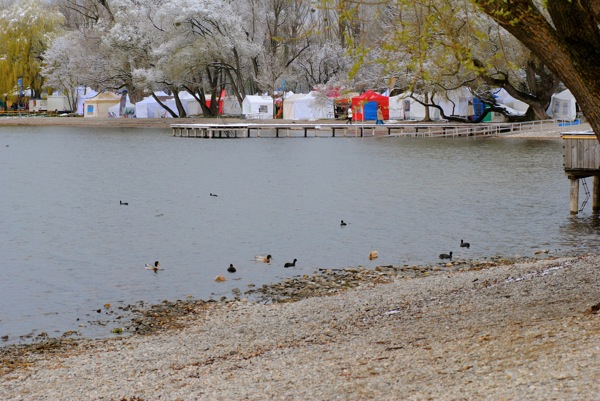 DSC 0015
