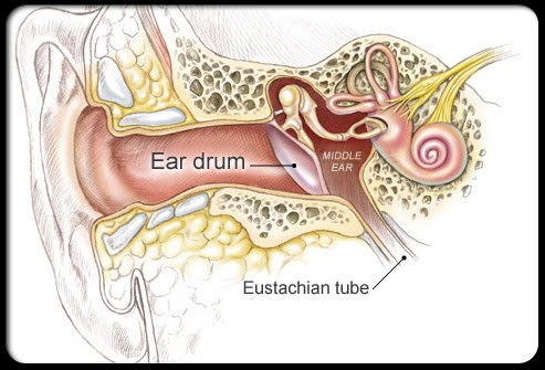 Tinnitus Remedies : Ear Noise Relief