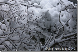 Christmas20103rdSnow2010 127