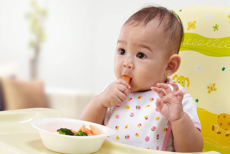 23+ Ide Populer Makanan Bayi Enam Bulan