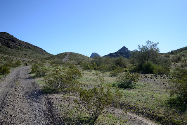 hills with a road over them