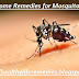 Best Home Remedies for Mosquito Bites