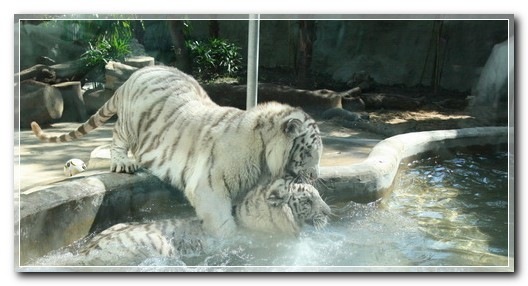 ImageView_002