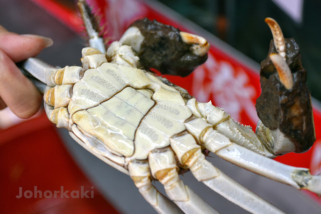 Shanghai-Hairy-Crabs-大閘蟹