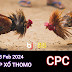 Xem Đá Gà Thomo CPC2 - 23/02/2024 – Trực Tiếp và Tổng Hợp
