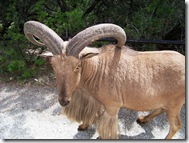 fossil rim 205