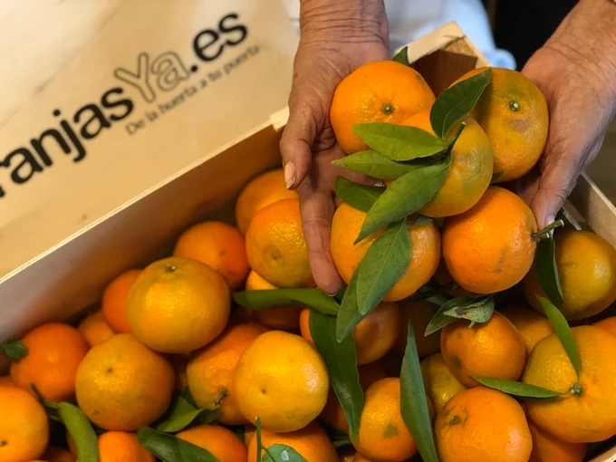 Flan de mandarina con almendra