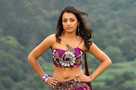 Actress Trisha Krishnan Hot Navel Photoshoot