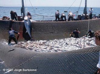 Resultado de imagem para ACORDO PESCAS GUINE BISSAU