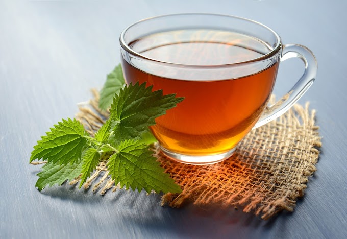 Is tea good for you? Here are the health benefits of tea