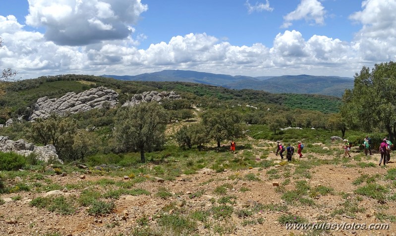 El Colmenar - Camino de los Arrieros - Puerto de los Peñones - Puerto de la Venta - Garganta de Los Charcones