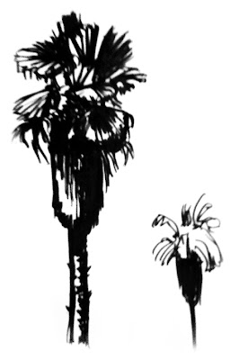 My palm tree drawing is coming