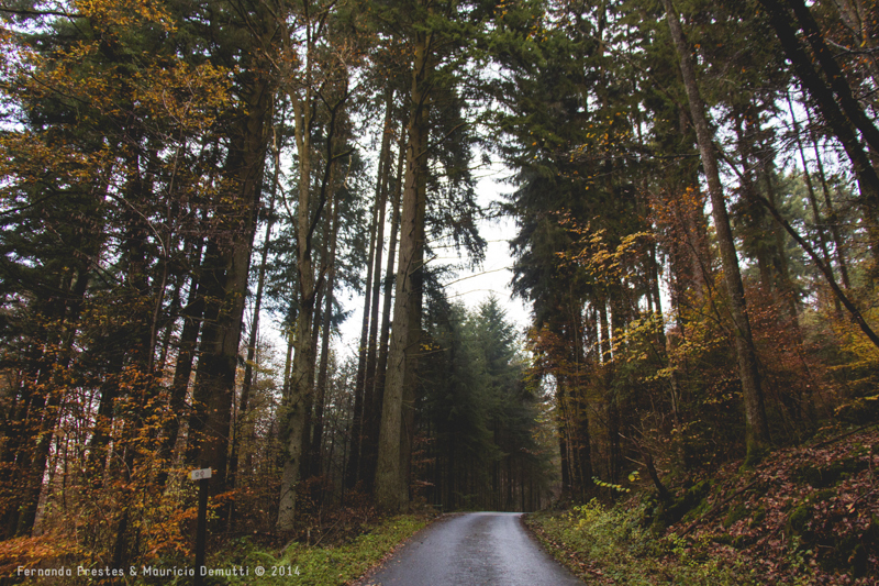 mullerthal trail Luxemburgo