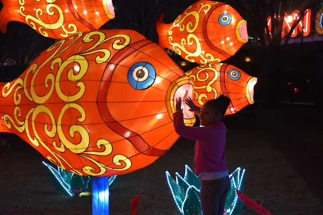 All Of the Lights: Chinese Lantern Festival   via  www.productreviewmom.com