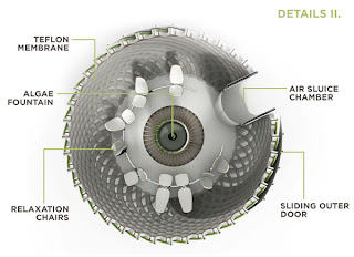 Chlorella 5