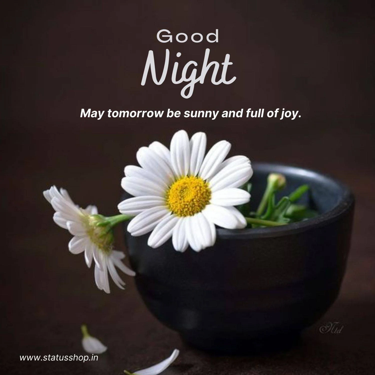 Good-Night-Messages-Images