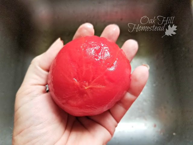 A peeled tomato in a woman's hand.