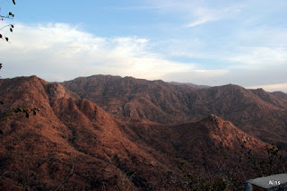 "A panoramic view of Mount Abu that showcases a rocky terrain filled with lush greenery, scattered trees, and bushes, surrounded by hills and blue sky in the background"