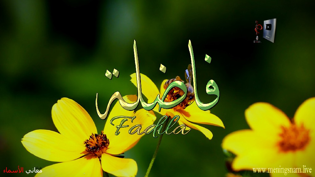 معنى اسم, فاضلة, وصفات, حاملة, هذا الاسم, Fadila,