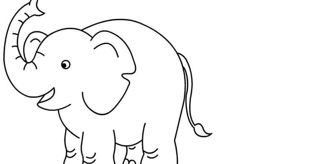   20 Sketsa Gambar  Hewan Gajah  Yang Mudah Di Warnai Untuk 