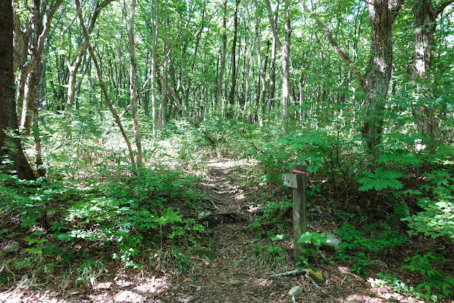 鳥取県西伯郡大山町高橋　大休峠の入り口