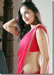 South  Actress  Anushka  Shetty  unwatermarked  hq  picture (68)