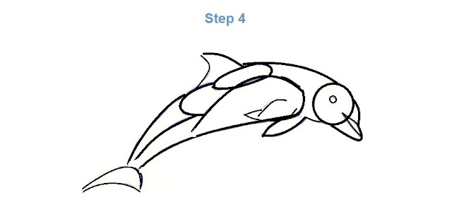 how to draw a whale