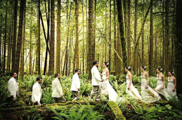 forest weddings decorations