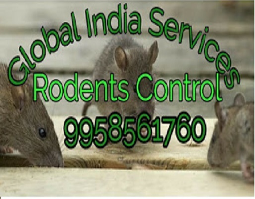 Rodent Management
