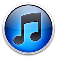 iTunes 10.6.3 (32-bit)