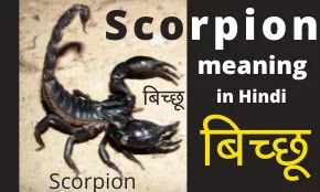 Scorpion meaning in Hindi