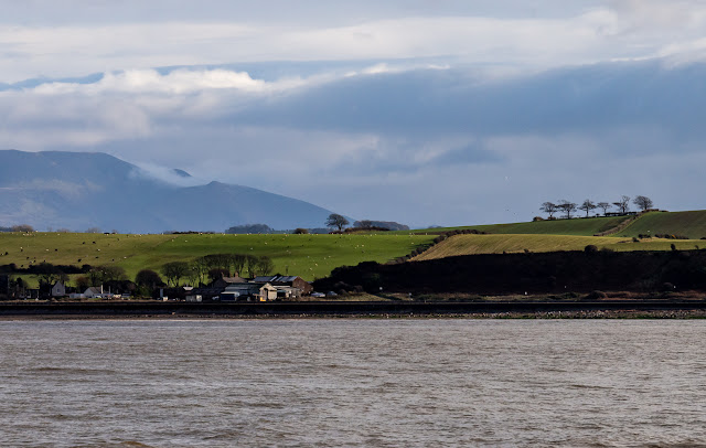 Photo of the northern fells from the Solway Firth