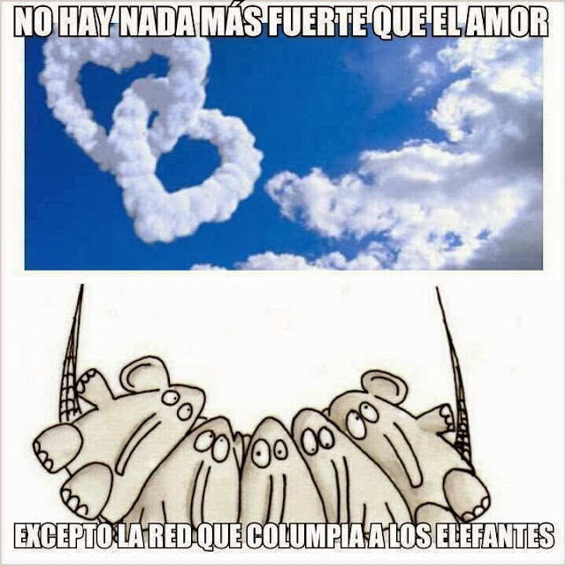 - una elefante se balanceaba, elefante, araña, tela de araña, amor, fuertes, excepto, chiste, humor, 