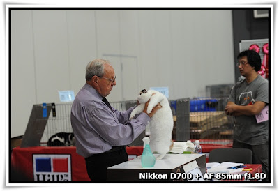 香港寵物節 Pet Show 2010