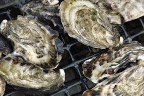 http://www.theaustralian.com.au/life/food-wine/ewan-mcash-on-clyde-river-and-the-oyster-boys-are-challenging-tradition/story-e6frg8jo-1227290019351?sv=3807a58dda4be56acdeb81aca022d809