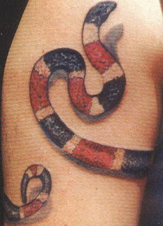 Tatuagens de cobras envolvendo o braço