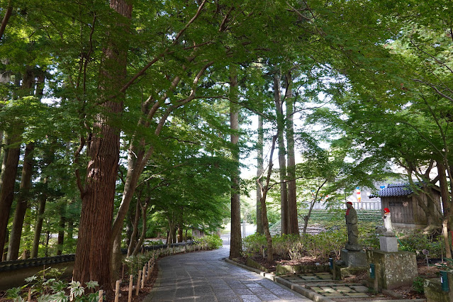 島根県出雲市小境町　一畑薬師