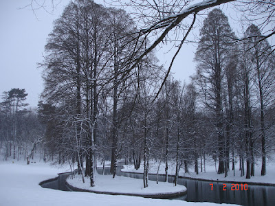 Parcul Romanescu iarna