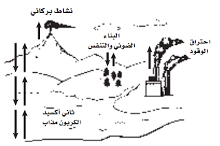 حل أسئلة اختبار مقنن الفصل الأول ( مبادئ علم البيئة) 