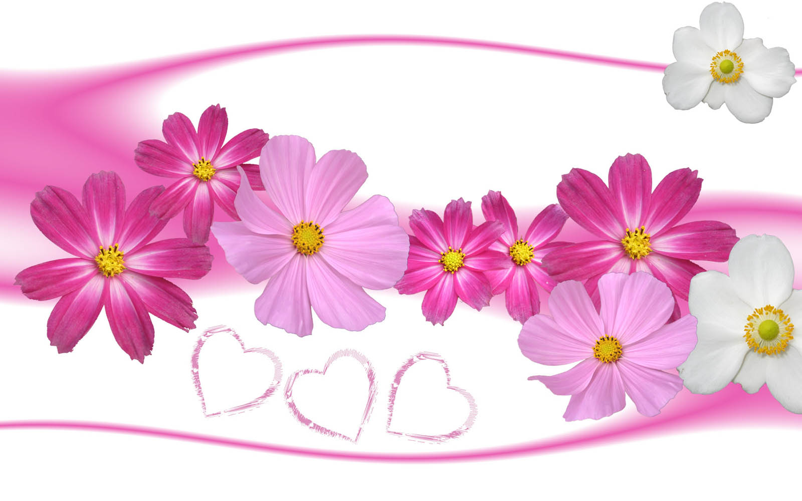 Love Wallpaper  Gambar  Gambar  Bunga  Berwarna Merah Muda