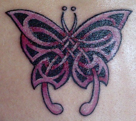 Luxury Celtic Butterfly Tattoo Luxury Celtic Butterfly Tattoo