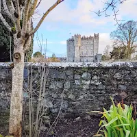 Picture of Kilkea Castle in County Kilkdare Ireland